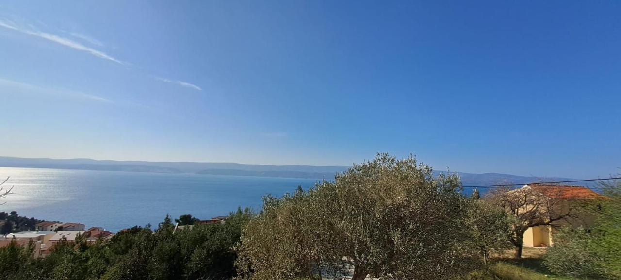 Apartment Anchor سيلينا المظهر الخارجي الصورة